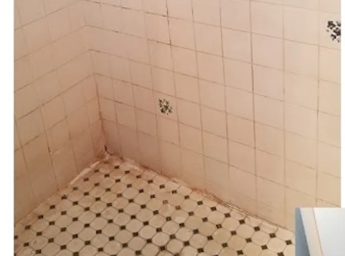 Shower tile before a one-time deep clean